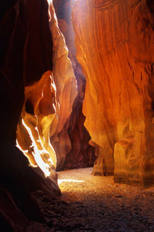 A patch sunlight peeks down through the narrow walls within Buckskin Gulch
